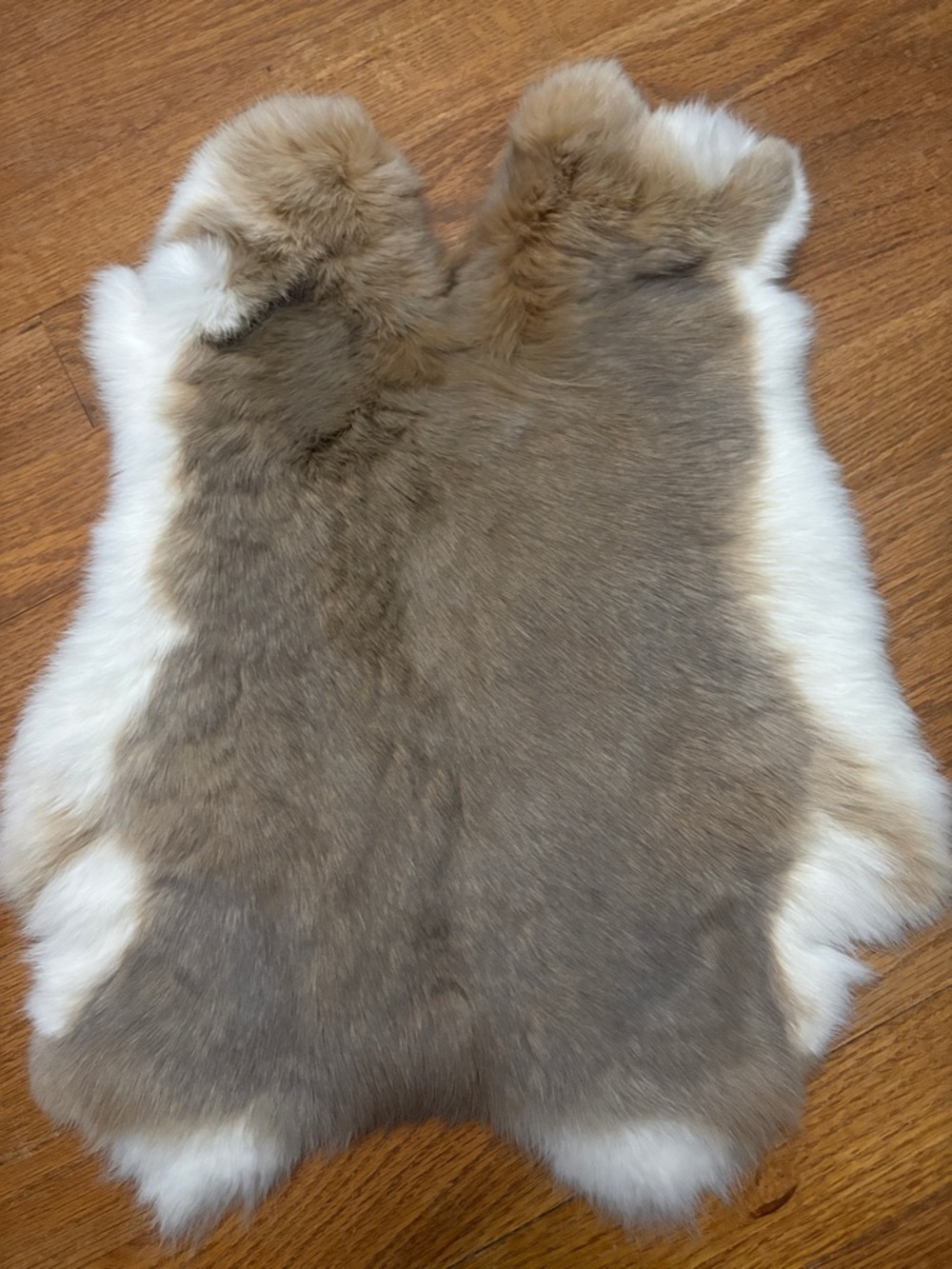 0868 rabbit pelt